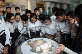 走进古生物博物馆 探索科学奥秘